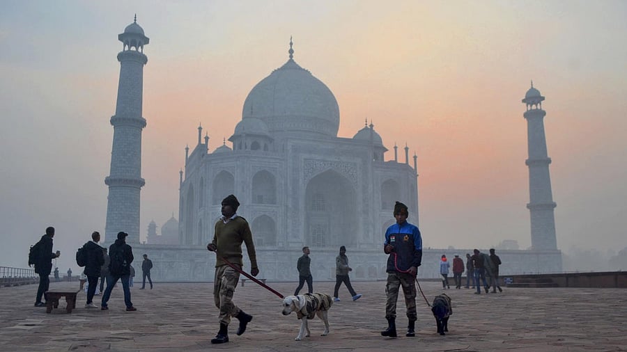 <div class="paragraphs"><p>CISF personnel with a sniffer dog inspect the Taj Mahal complex.</p></div>