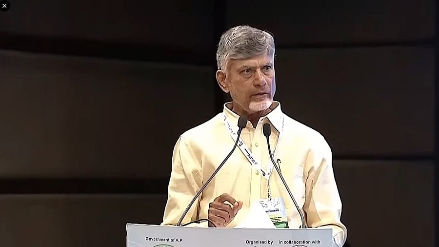 <div class="paragraphs"><p>Andhra CM N Chandrababu Naidu</p></div>