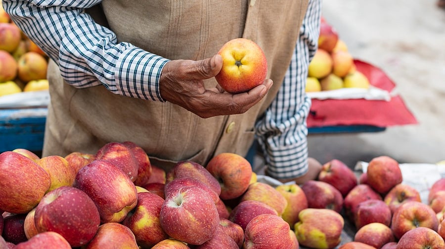 <div class="paragraphs"><p>An apple cart is seen in this photo. (Representative image)</p></div>