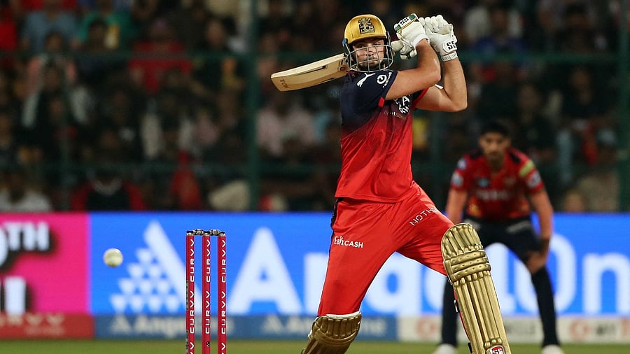 <div class="paragraphs"><p>Royal Challengers Bengaluru's Tim David in action </p></div>
