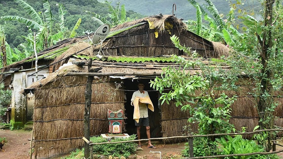 <div class="paragraphs"><p>A file photo of a house inside Bhimgad Wildlife Sanctuary.   </p></div>