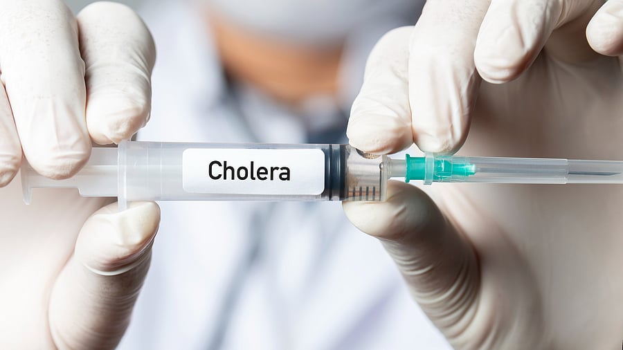 <div class="paragraphs"><p>Representative image showing cholera vaccine</p></div>