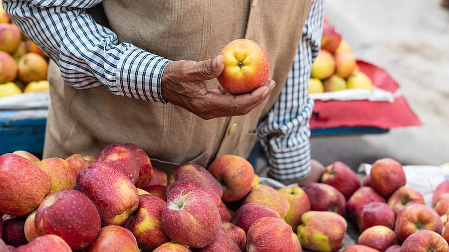 <div class="paragraphs"><p>An apple cart is seen in this photo. (Representative image) </p></div>