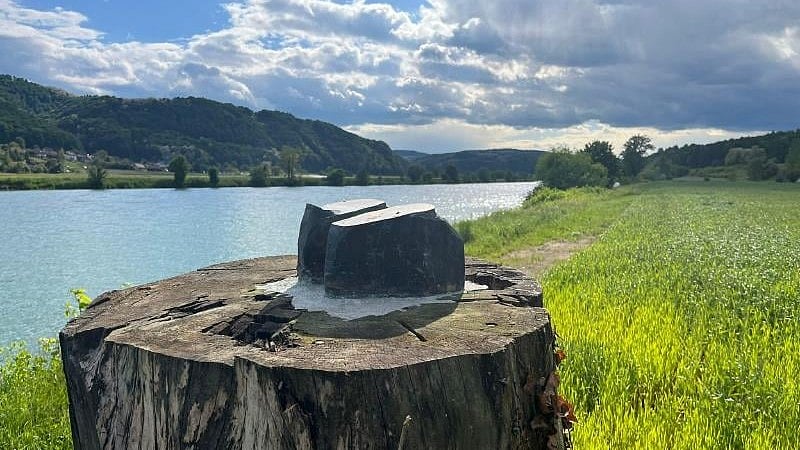 Melania Trump  Vanishes in Slovenia