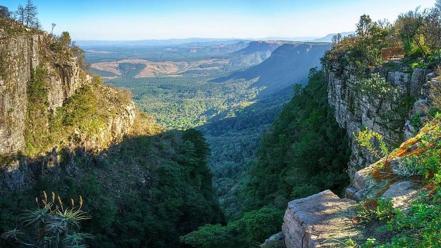 God’s Window, Mpumalanga. Image courtesy South African Tourism