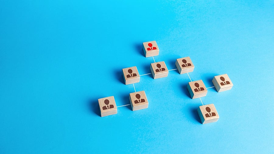 <div class="paragraphs"><p>Representative image.</p></div>