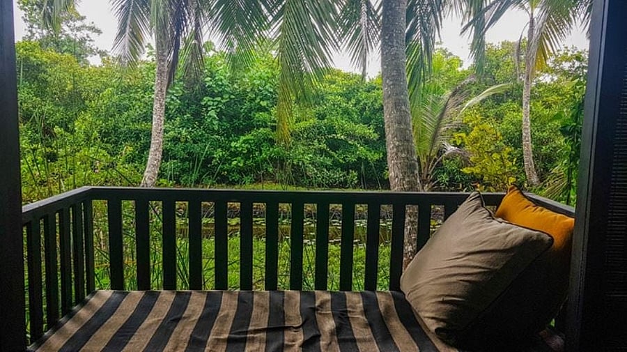 <div class="paragraphs"><p>Representative image  </p></div>