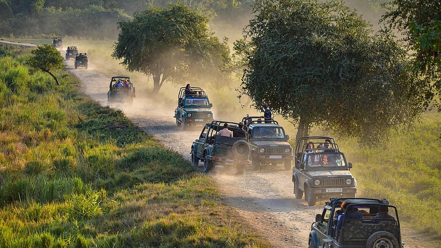 <div class="paragraphs"><p>Jeep safari at Kaziranga National Park.</p></div>