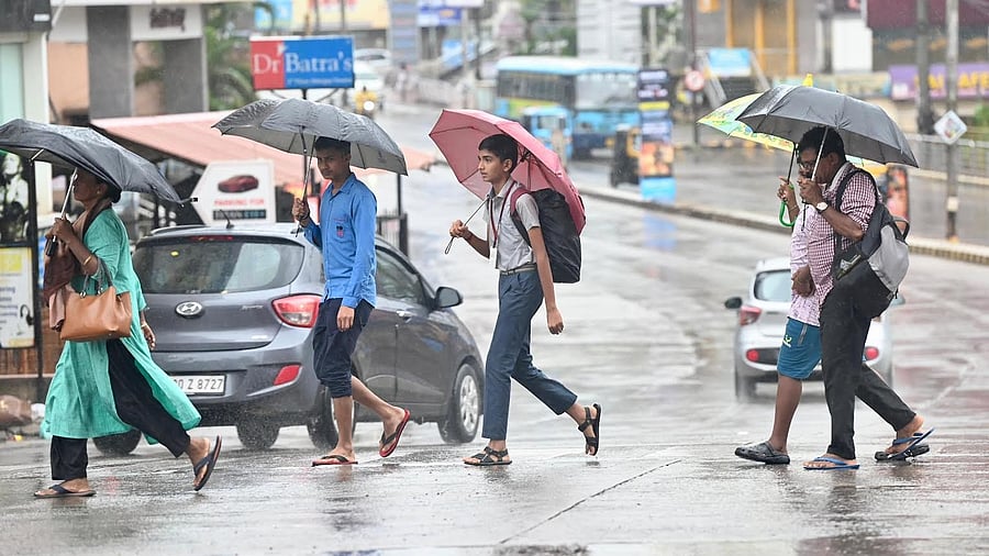 <div class="paragraphs"><p>Rain lashed Mangaluru on Tuesday morning. </p></div>
