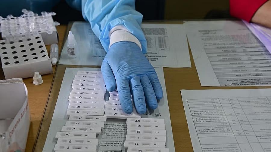 <div class="paragraphs"><p>A health worker shows samples after conducting Covid-19 tests.</p></div>