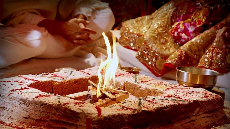 <div class="paragraphs"><p>Representative image </p></div>