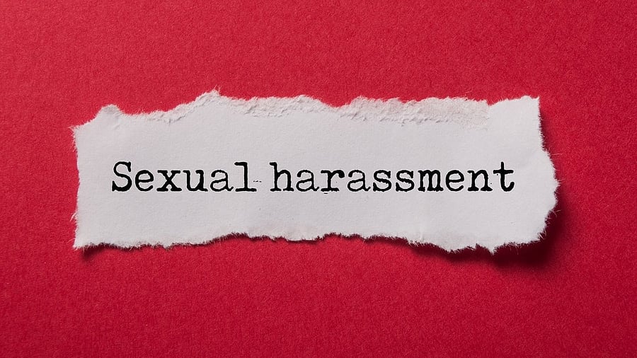 <div class="paragraphs"><p>The Commission has emphasised the need to ensure the safety of the survivor.</p></div>