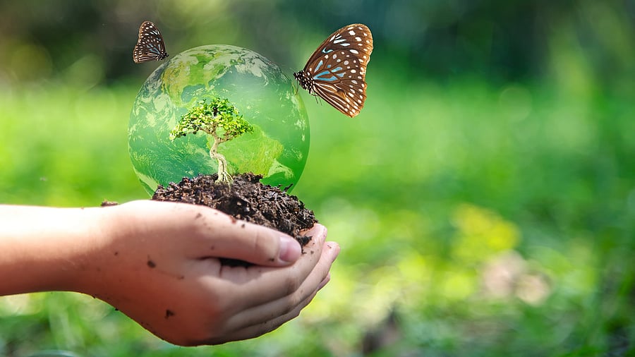 <div class="paragraphs"><p>Representative image indicating biodiversity</p></div>