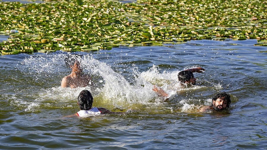 <div class="paragraphs"><p>Boys swim in the waters of Dal Lake to cool off on a hot day, in Srinagar.</p></div>