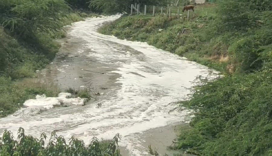 <div class="paragraphs"><p>Froth and sewage water flows from Kolaramma Lake through the canal near Kolar’s Gandhinagar. </p></div>