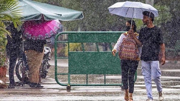 <div class="paragraphs"><p>People walk under umbrellas amid rains at Lalbagh, in Bengaluru, Karnataka.</p></div>
