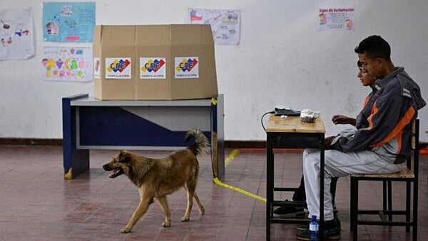 <div class="paragraphs"><p>A dog walks at a polling station during Venezuela's parliamentary elections, in Caracas, Venezuela.</p></div>