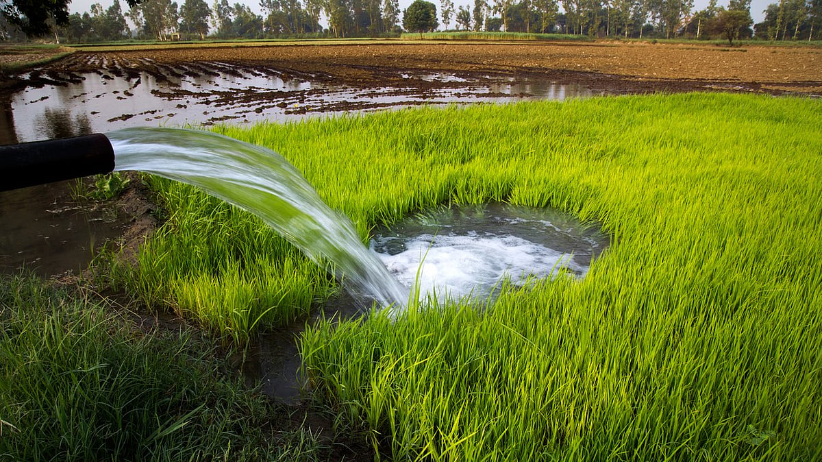 Harvard Study Reveals Why India's Warming Lags Global Average