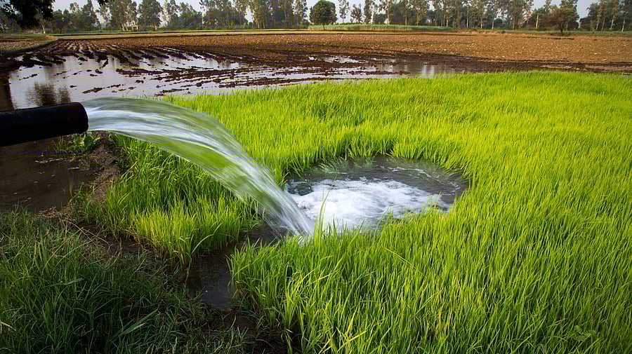 <div class="paragraphs"><p>Representative image of water irrigation.</p></div>