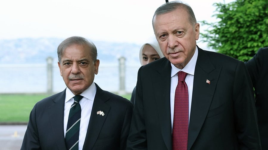 <div class="paragraphs"><p>Pakistan Prime Minister Shehbaz Sharif met Turkish President Recep Tayyip Erdogan</p></div>