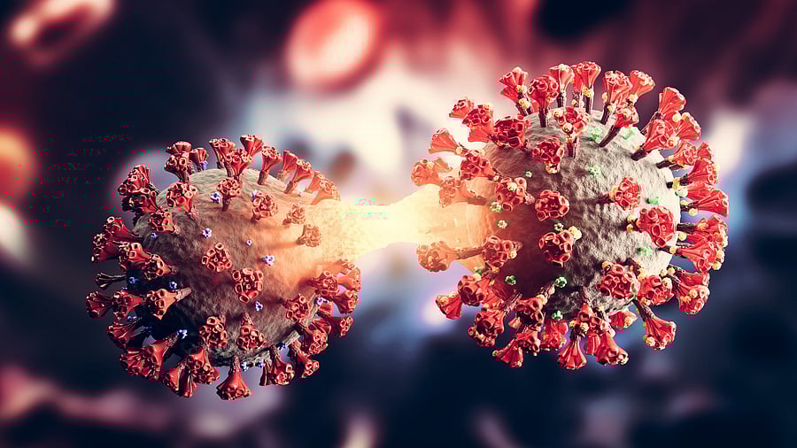 <div class="paragraphs"><p>Image for representation.</p></div>