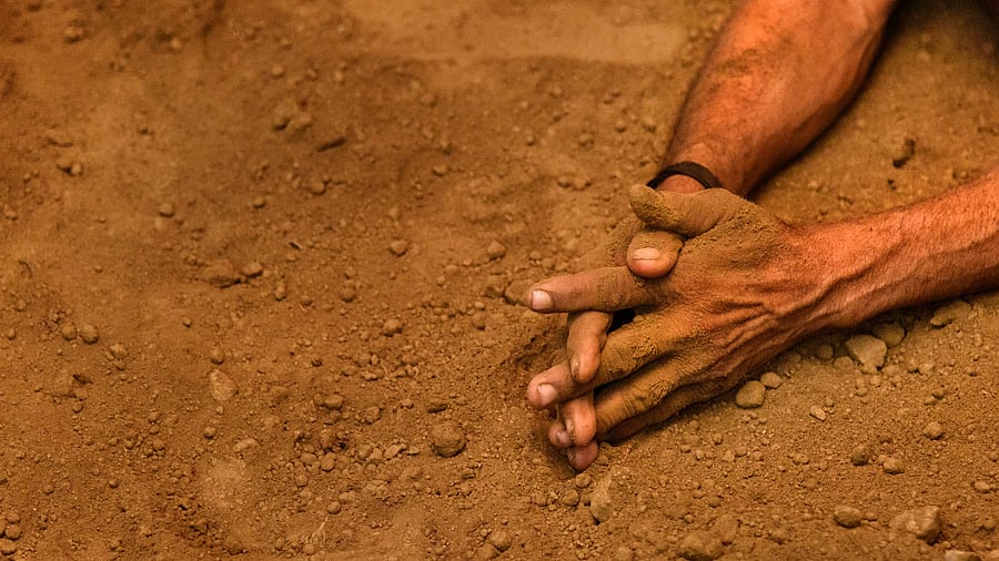 <div class="paragraphs"><p>Image for representation.</p></div>