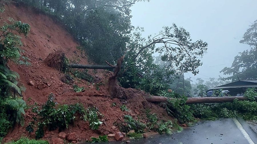 <div class="paragraphs"><p>The hill near Karthoji on Madikeri - Mangaluru National Highway caved in, on Mayr 26, resulting in stoppage of vehicular traffic.</p></div>