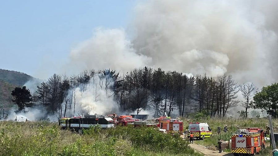 <div class="paragraphs"><p>Image from the crash site.</p></div>