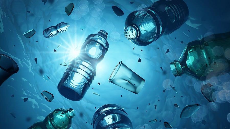 <div class="paragraphs"><p>Plastic pollution.</p></div>