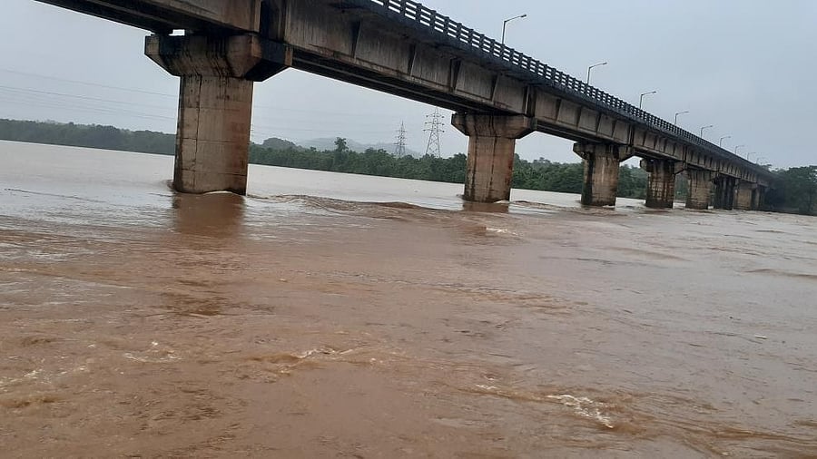 <div class="paragraphs"><p>A file image of River Nethravathi</p></div>