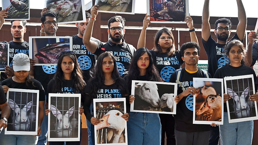 <div class="paragraphs"><p>Activists hold placards and create awareness about animal cruelty at Sankey Tank on Sunday. </p></div>