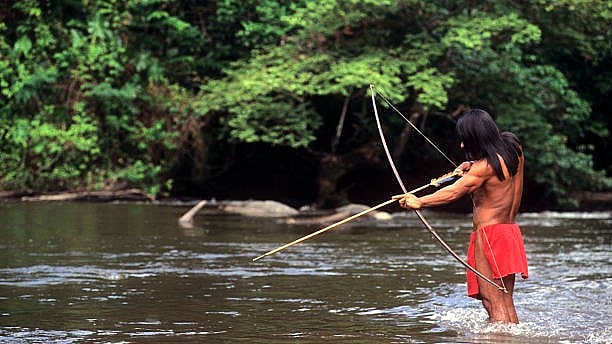 <div class="paragraphs"><p>Image for representational purposes.</p></div>