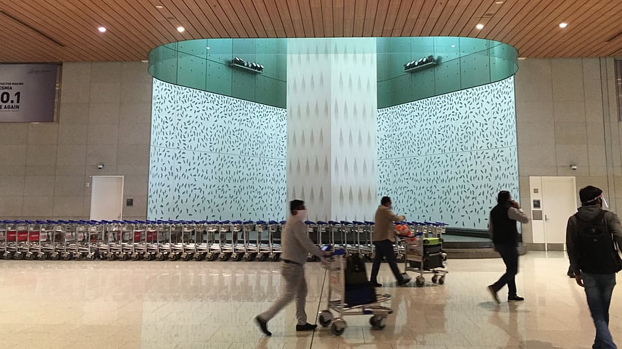 <div class="paragraphs"><p>Representative image showing luggage being carried in the Mumbai airport</p></div>