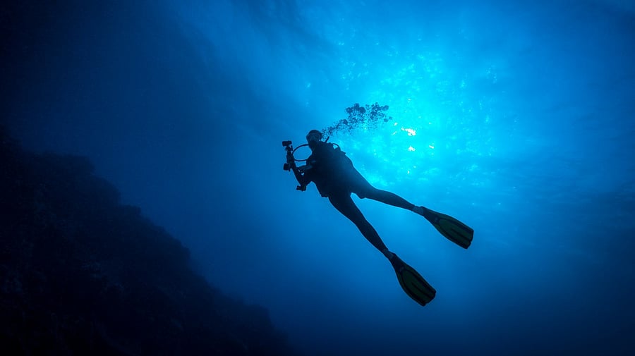 <div class="paragraphs"><p>Representative image for a scuba diver</p></div>