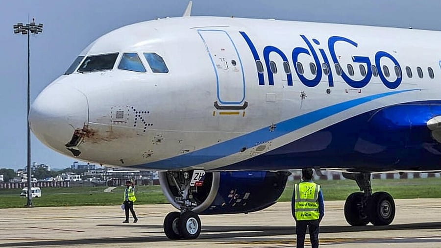 <div class="paragraphs"><p>Damaged nose of an IndiGo aircraft after a bird strike during landing at Birsa Munda Airport, in Ranchi, Monday, June 2, 2025.</p></div>