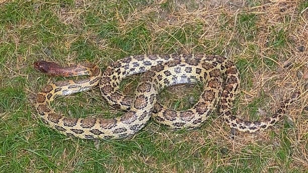 <div class="paragraphs"><p>Image for representational purposes.</p></div>