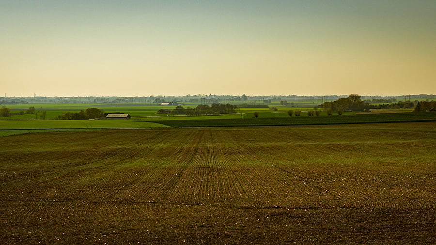 <div class="paragraphs"><p>Image for representation showing farmland.</p></div>
