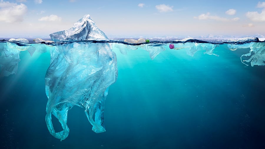 <div class="paragraphs"><p>Image showing plastic waste in the sea. For representational purposes.</p></div>