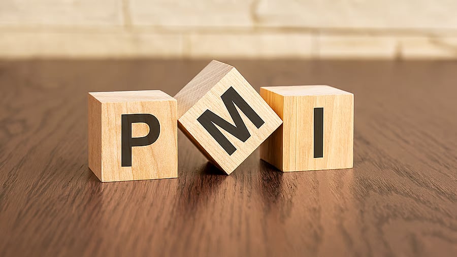 <div class="paragraphs"><p>Image for representation.</p></div>