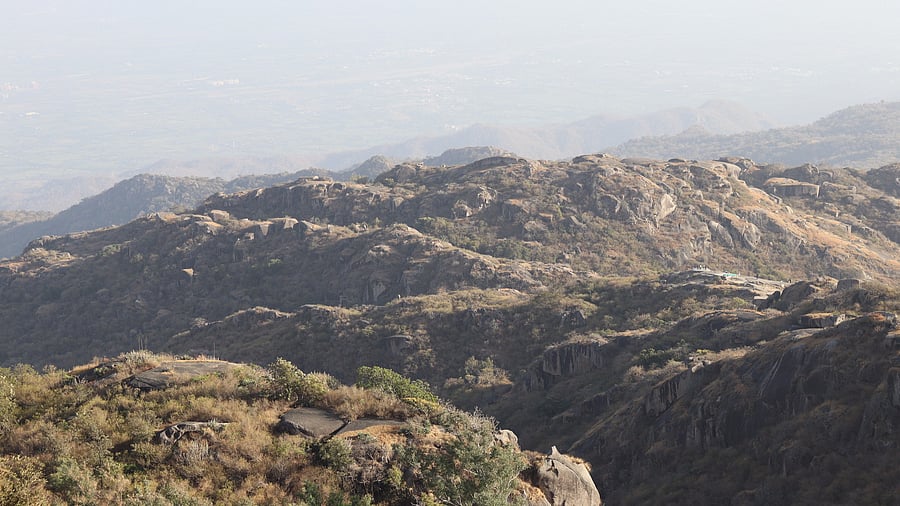 <div class="paragraphs"><p>The Aravalli range houses 22 wildlife sanctuaries and four tiger reserves – Ranthambore, Sariska, Ramgarh-Vishdhari and Mukunda Hills.</p></div>
