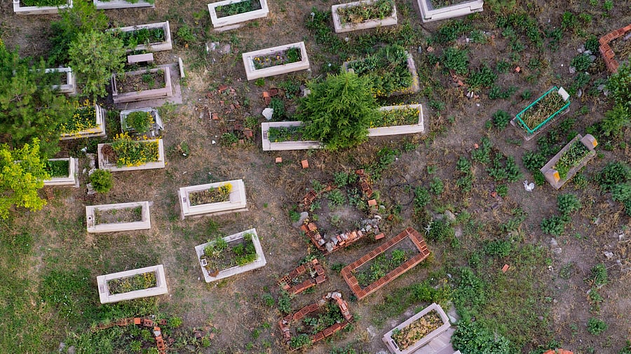 <div class="paragraphs"><p>A burial ground. Image for representation.</p></div>