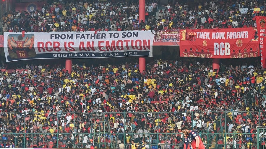 <div class="paragraphs"><p>RCB's slogan that began as hope is now a prophecy fulfilled.</p></div>