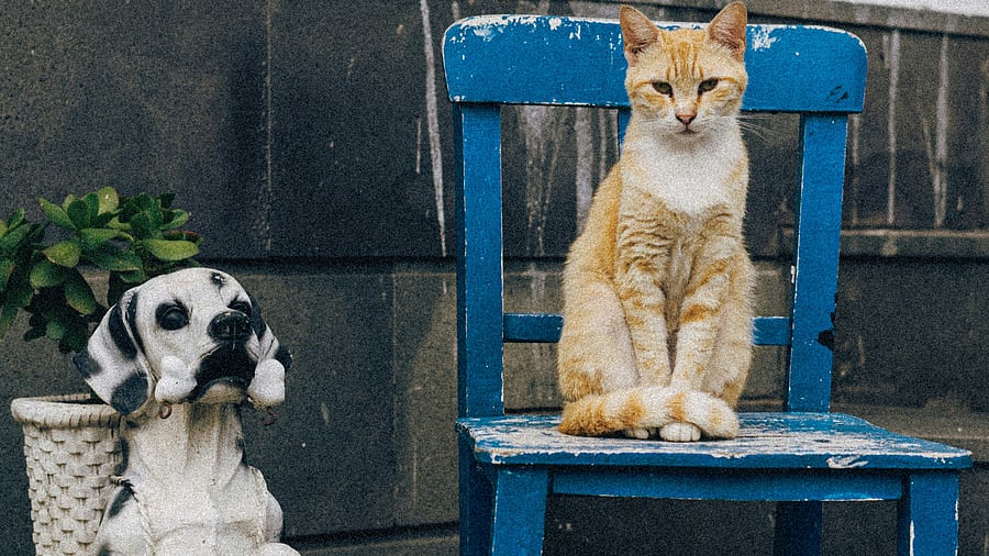 Image for representation, courtesy Unsplash.