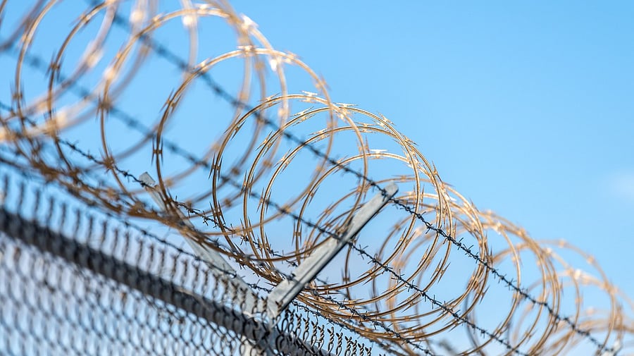 <div class="paragraphs"><p>Representative image</p></div>