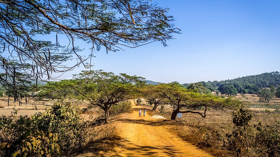 <div class="paragraphs"><p>A village road in Odisha (For representational purpose)</p></div>