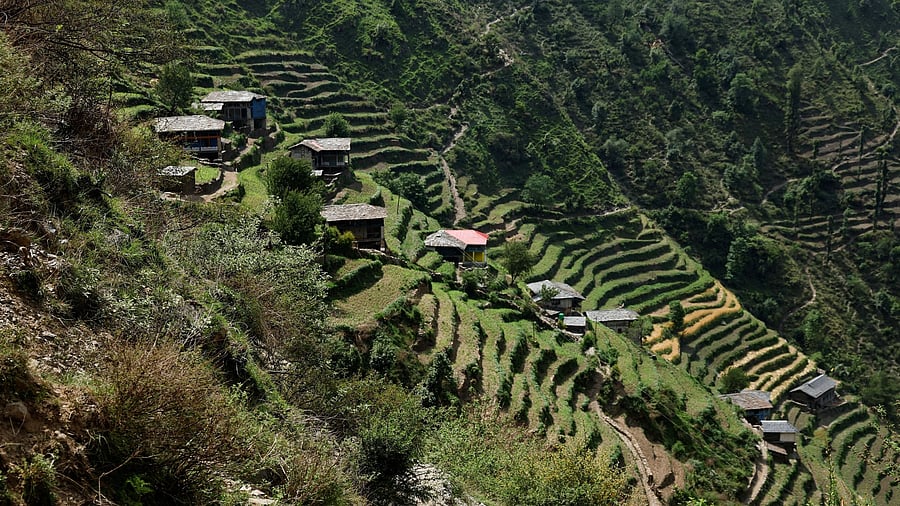 <div class="paragraphs"><p>Representative image&nbsp;</p></div>