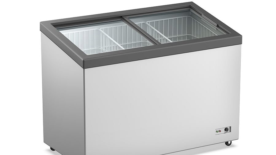 <div class="paragraphs"><p>Representative image showing an ice cream freezer</p></div>