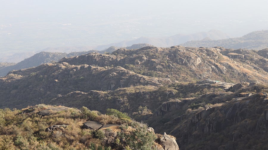 <div class="paragraphs"><p>The Aravalli Hills</p></div>