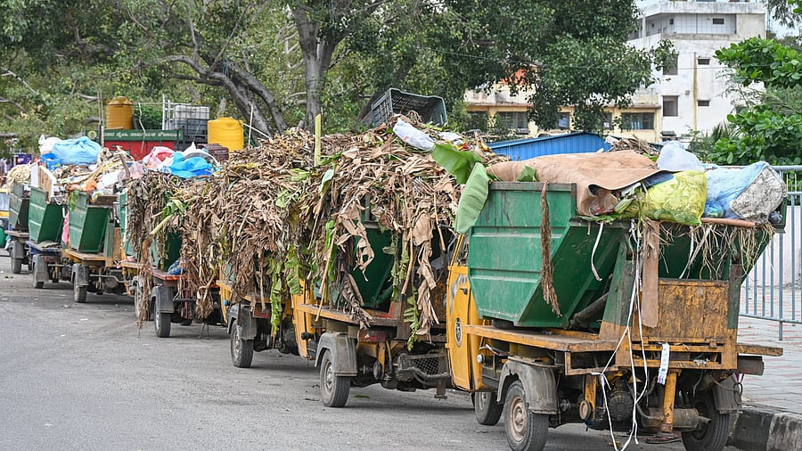 <div class="paragraphs"><p>BBMP’s garbage trucks lined up in Majestic.&nbsp;</p></div>