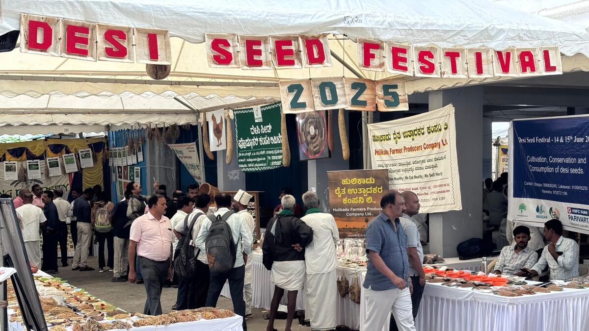 <div class="paragraphs"><p>Desi seed festival.</p></div>